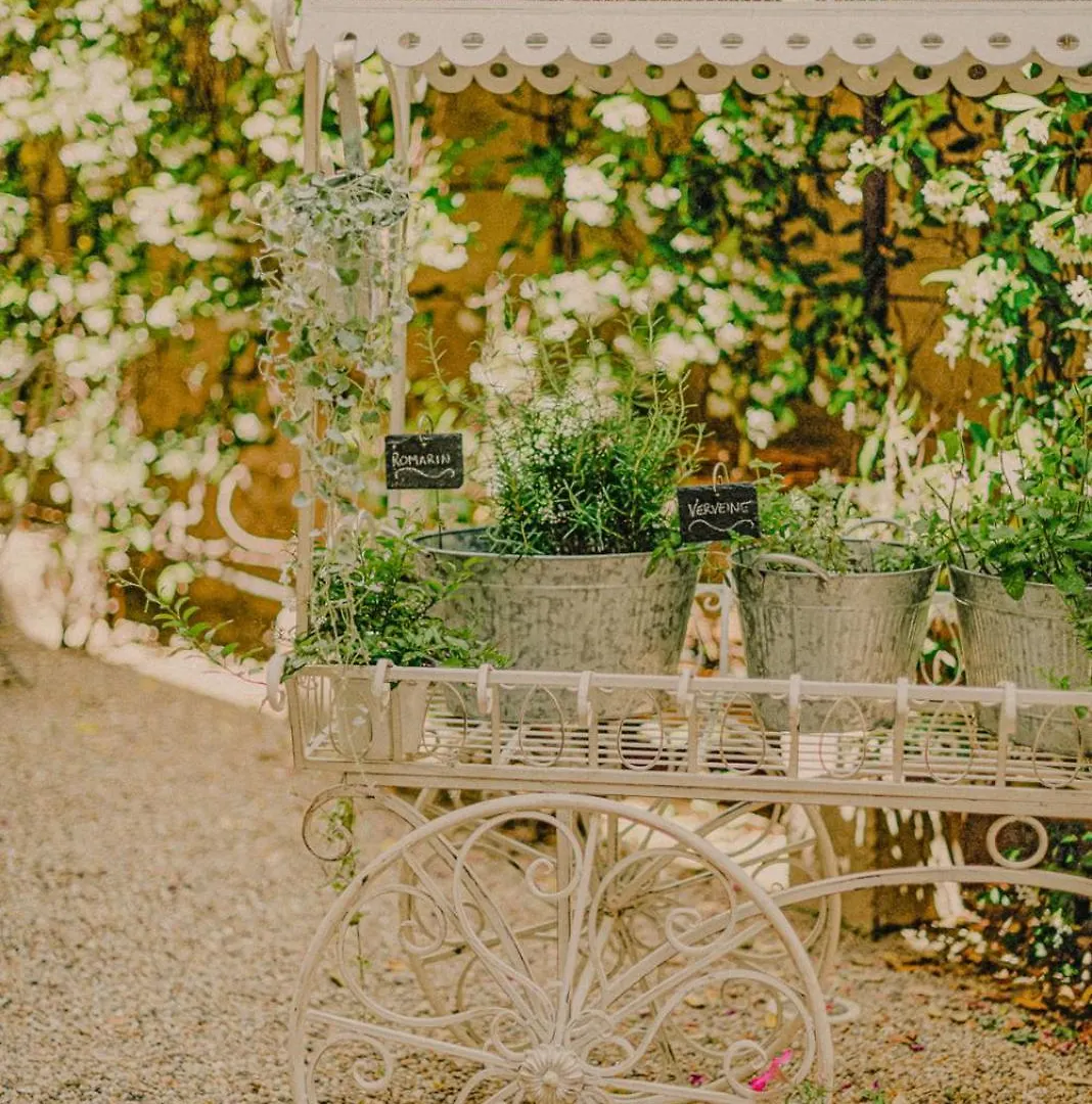 La Maison Du Village Saint-Rémy-de-Provence Pensjonat